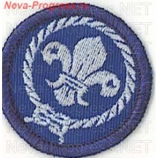 Шеврон скаутов World Scout Environment Badge images